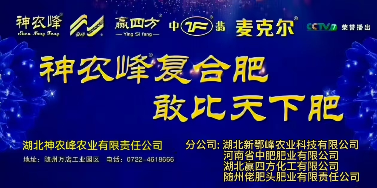 首页幻灯---蓝色背景图 